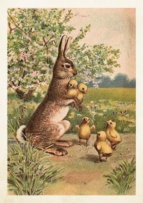 Opakowanie Karnet ST450 B6 + koperta Królik Wielkanoc