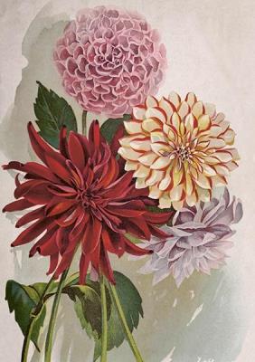 Opakowanie Karnet ST454 B6 + koperta Dalia