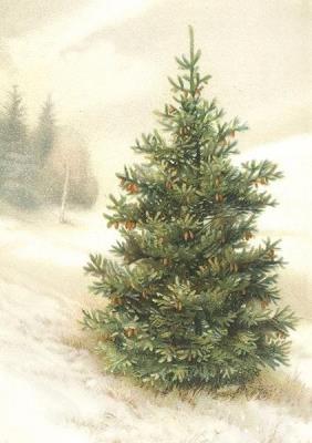 Opakowanie Karnet ST456 B6 + koperta Świerk