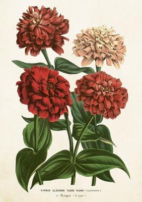 Opakowanie Karnet ST458 B6 + koperta Cynia