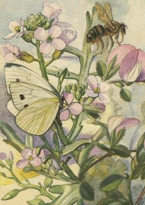 Opakowanie Karnet ST470 B6 + koperta Łąka