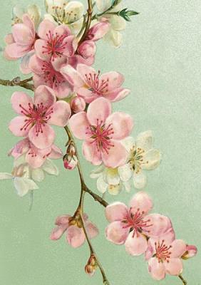 Opakowanie Karnet ST471 B6 + koperta Kwiaty wiśni