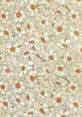 Opakowanie Karnet ST480 B6 + koperta Narcyz