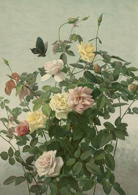 Opakowanie Karnet ST485 B6 + koperta Róże