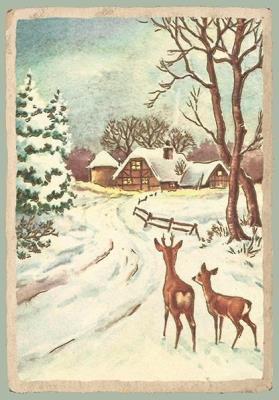 Opakowanie Karnet ST487 B6 + koperta Sarny Święta Bożego Nar