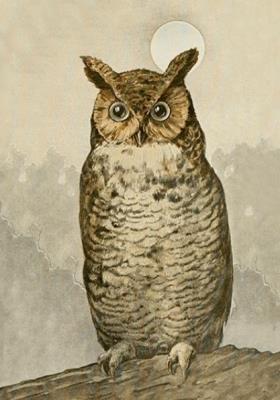 Opakowanie Karnet ST488 B6 + koperta Sowa