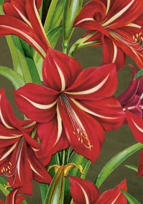 Opakowanie Karnet ST490 B6 + koperta Święta Gwiazda betlejem.