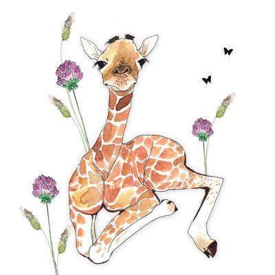 Opakowanie Karnet Swarovski kwadrat CL 1217_BL Żyrafa