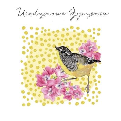 Opakowanie Karnet Swarovski kwadrat CL4502_PO Urodzinowe życz