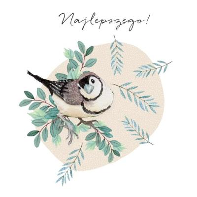 Opakowanie Karnet Swarovski kwadrat CL4503_PO Najlepszego!