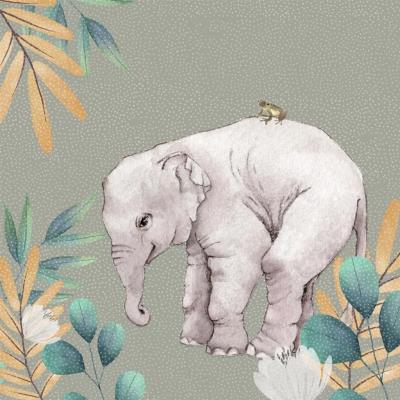 Opakowanie Karnet Swarovski kwadrat CL4703 Słoń