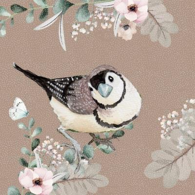 Opakowanie Karnet Swarovski kwadrat CL4704 Ptaszek