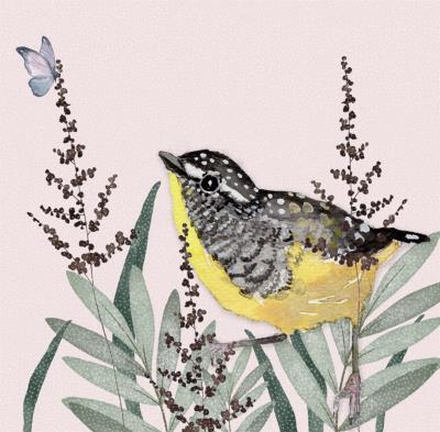 Opakowanie Karnet Swarovski kwadrat CL4706 Żółty ptaszek