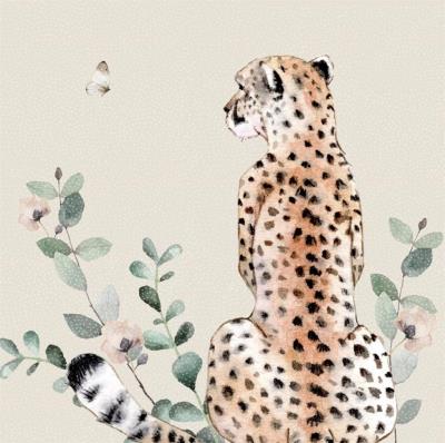 Opakowanie Karnet Swarovski kwadrat CL4709 Gepard