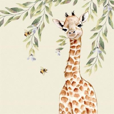 Opakowanie Karnet Swarovski kwadrat CL4712 Żyrafa