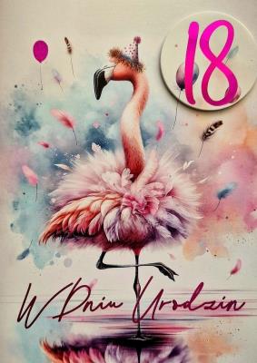 Opakowanie Karnet Urodziny 18 3K