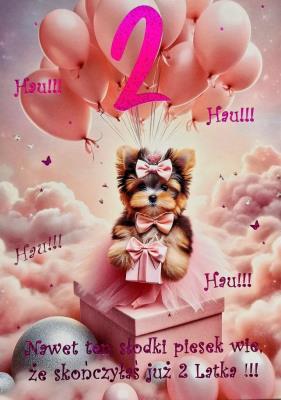 Opakowanie Karnet Urodziny 2 3K