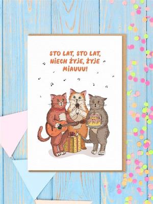 Opakowanie Karnet Urodziny - Koty sto lat