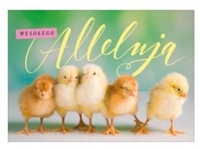 Opakowanie Karnet Wielkanoc K. B6-1554