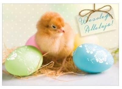 Opakowanie Karnet Wielkanoc K. B6-1557