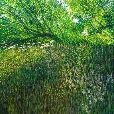 Opakowanie Karnet z kopertą AC10137 Letnia łąka