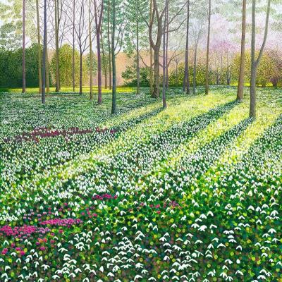 Opakowanie Karnet z kopertą AC10139 Przebiśniegi i cyklameny