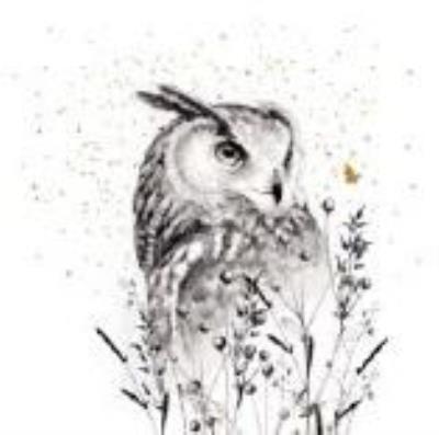 Opakowanie Karnet Złocony kwadrat CL3817_BL Sowa