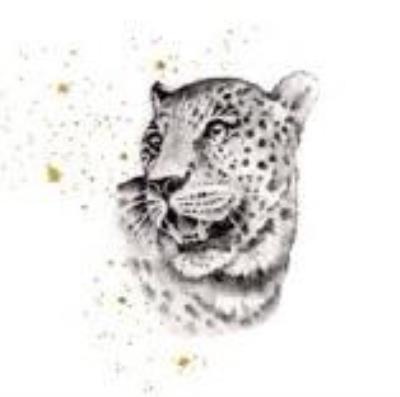 Opakowanie Karnet Złocony kwadrat CL3819_BL Gepard