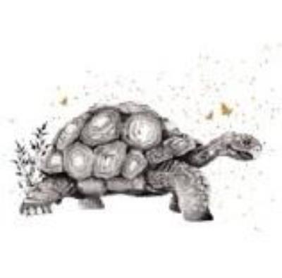 Opakowanie Karnet Złocony kwadrat CL3820_BL Żółw