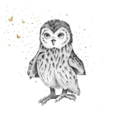 Opakowanie Karnet Złocony kwadrat CL3822_BL Sowa