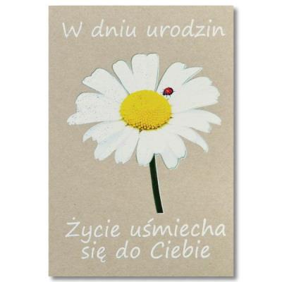 Opakowanie Kartka okolicznościowa Urodziny