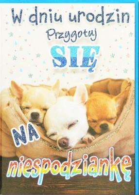 Opakowanie Kartka okolicznościowa Urodziny TS92