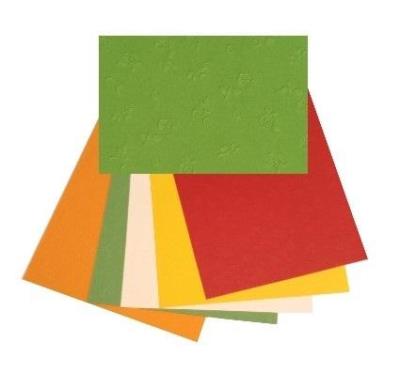 Opakowanie Karton wytłaczane róże 220g 25x35cm 5 ark MIX