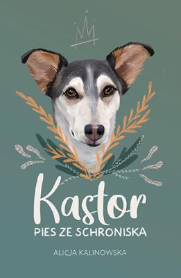 Kastor. Pies ze schroniska. Autor: Kalinowska Alicja. SmakLiter.pl Okładka książki Kastor. Pies ze schroniska