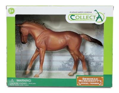 Okładka książki Klacz rady Thoroughbred maści Chestnut