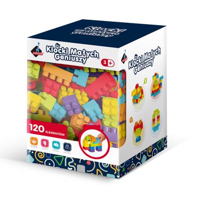 Opakowanie Klocki małych geniuszy 120 elementów