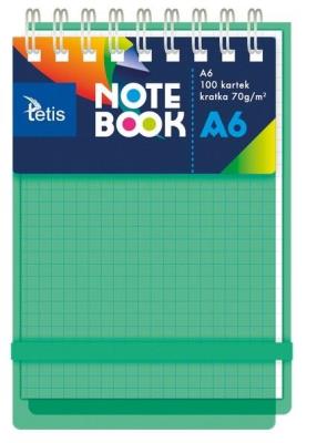 Kołonotatnik A6/100K kratka PP zielony. Wydawca: TETIS. SmakLiter.pl Opakowanie Kołonotatnik A6/100K kratka PP zielony