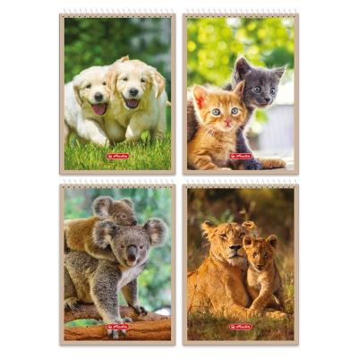 Opakowanie Kołonotatnik A7/40K kratka Animals (20szt)