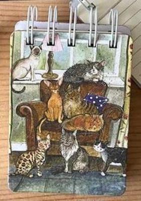 Opakowanie Kołonotes A7 SSN60 Dom pełen kotów