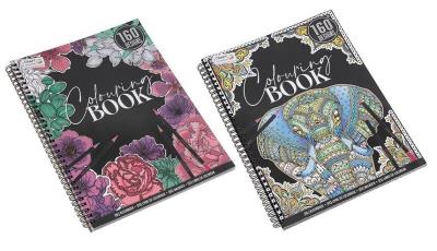 Opakowanie Kolorowanka 50szt mix