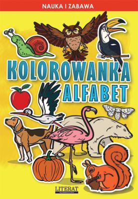 Okładka książki Kolorowanka Alfabet