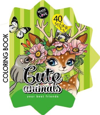 Opakowanie Kolorowanka Curly z naklejkami BR Gwiazdka 2208