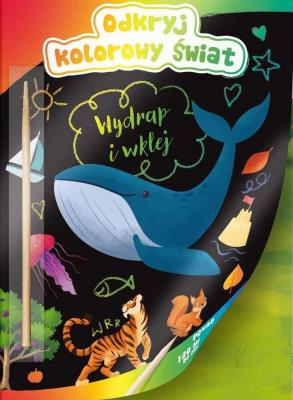 Kolorowanka odkryj kolorowy świat. Autor:   Praca zbiorowa. SmakLiter.pl Okładka książki Kolorowanka odkryj kolorowy świat