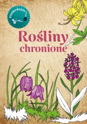 Kolorowanka Rośliny chronione. Autor: Katarzyna Kopiec-Sekieta. SmakLiter.pl Okładka książki Kolorowanka Rośliny chronione