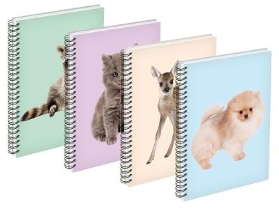 Opakowanie Kołozeszyt A6/80K linia mix