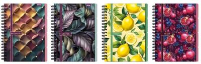 Kołozeszyt B5/96K kratka z mikroperforacją mix. Wydawca: Beniamin. SmakLiter.pl Opakowanie Kołozeszyt B5/96K kratka z mikroperforacją mix