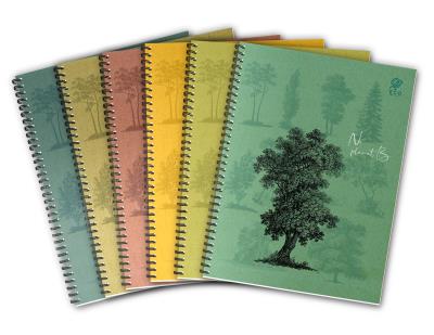 Kołozeszytt A4/80K By Nature - Forrest (5szt). Wydawca: Elanders. SmakLiter.pl Opakowanie Kołozeszytt A4/80K By Nature - Forrest (5szt)