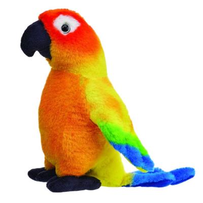 Opakowanie Konura słoneczna 20cm