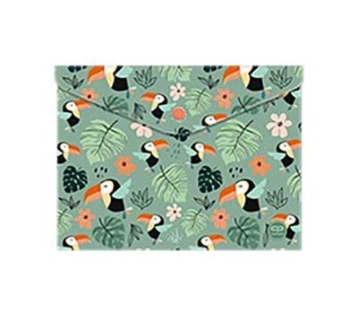 Opakowanie Koperta A4 na zatrzask Coolpack toucans