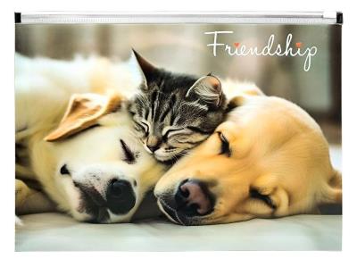 Koperta A4 PP z nadrukiem zip Friendship. Wydawca: Centrum. SmakLiter.pl Opakowanie Koperta A4 PP z nadrukiem zip Friendship